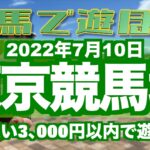2022年7月10日：東京競馬場で遊んでみた