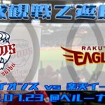 2022年7月23日：ベルーナドームにライオンズとイーグルスの試合を見に行った