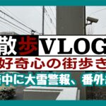 《散歩：番外編》府中市内に大雪警報