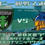 ダイナボアーズの応援で遊ぼう