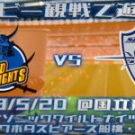 《ラグビー観戦で遊ぼう》リーグワン決勝戦を観戦してきた。