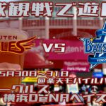 《野球観戦で遊ぼう》今シーズン初イーグルスの観戦に行ってきた