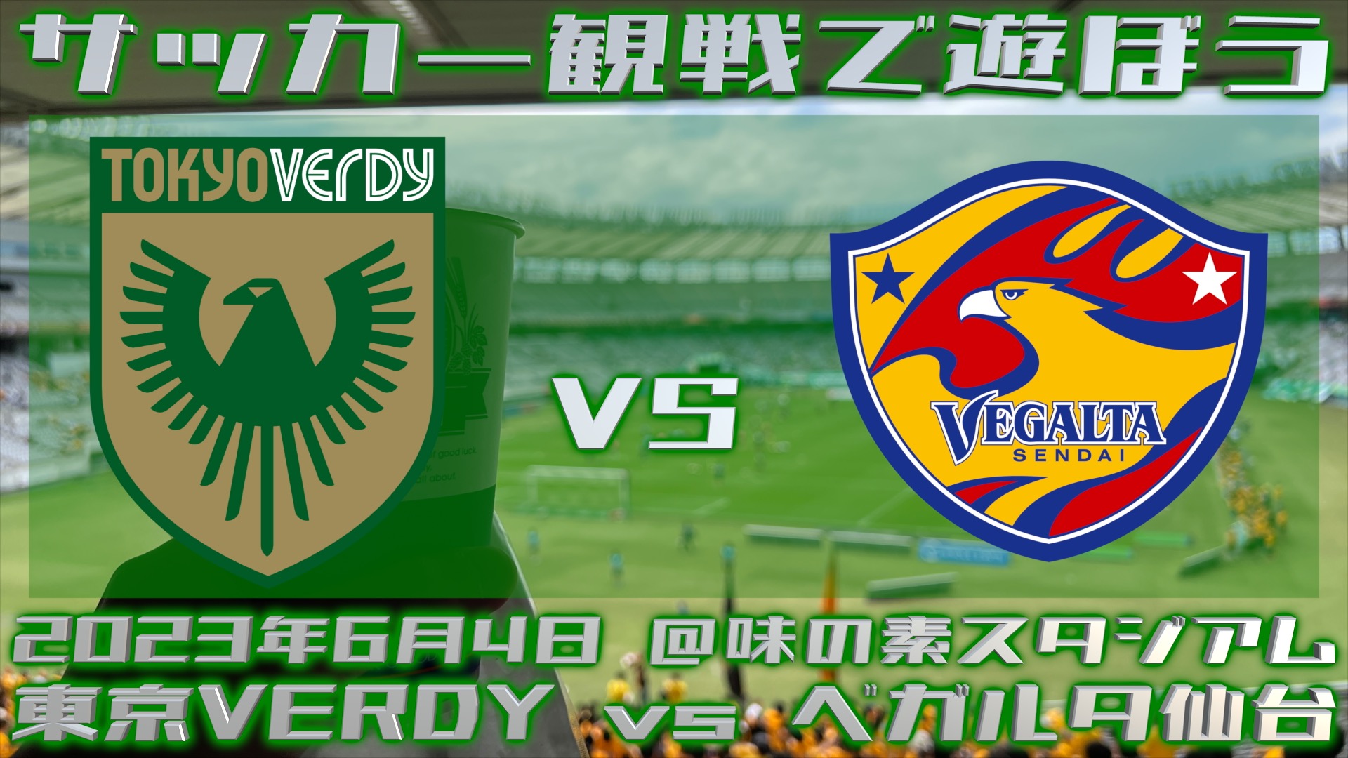 《サッカー観戦で遊ぼう》同僚とVERDYの試合観に行ってきた