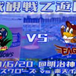 《野球観戦で遊ぼう》交流戦振替試合
