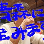 《青森に住みます》青森〜東京〜青森〜札幌〜青森