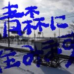 《青森に住みます》年末年始休暇の後半、故郷の札幌に行ってきました。